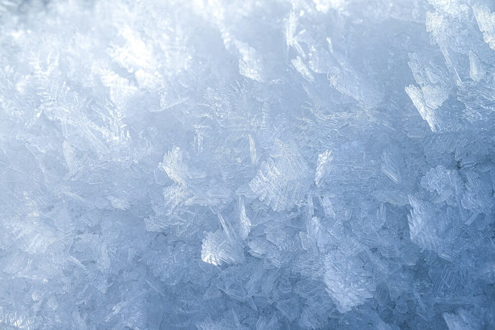 Frost Crystals